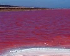 Laut Merah Ada Di Negara Mana